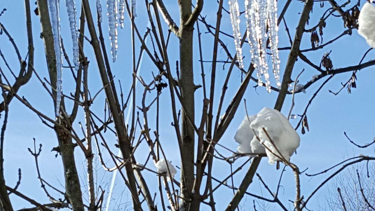 Landhaus Sonnenschein Schladming Kültér fotó